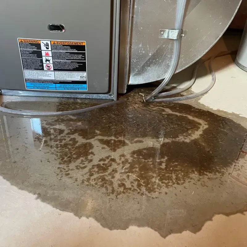 Appliance Leak Cleanup in Wilderness Rim, WA